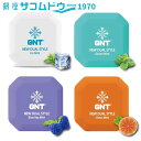 【最大2000円OFFクーポン16日(金)01:59迄】GNT 電子清涼ミスト アイスミント オーシャンミント ブルーラズミント シトラスミント