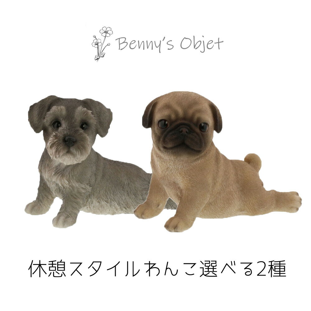 【最大2000円OFFクーポン 27日(木)01:59迄】ベニーズ（Benny's） 置物 オブジェ アニマル シュナウザー..
