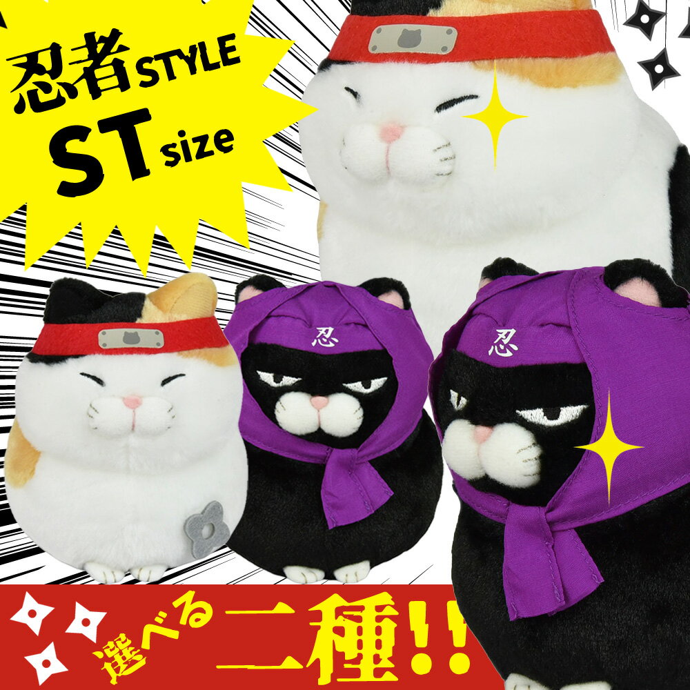  Ӹ̴Ʋsacomdoˤ㤨֡5%OFFݥ 122(9:59ۤϤҤޤ󤸤夦ST ǦԤߡ ǦԹƦ ̤ 704483 704484פβǤʤ2,700ߤˤʤޤ