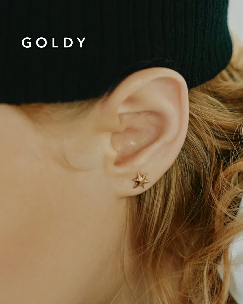 樂天商城 - GOLDY ゴールディ 1251102 goldy プチ スター ピアス【メール便可】