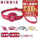 5/1 抽選で最大300%Pバック バーディ リード 犬用 ファッションリード カフェリード SSサイズ 小型犬 日本製 8467 BIRDIE ロゼットデニム...