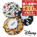 5/1 抽選で最大300%Pバック ディズニー ゴルフ 氷のう 氷嚢 Disney GOLF アイシング アイスバッグ 熱中症 打撲 捻挫 ミッキーマウス ドナ...