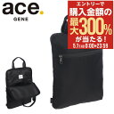 5/1 抽選で最大300%Pバック エースジーン ノートパソコンケース パソコンケース 13.3インチ PCケース 11171 ace.GENE 縦型 保護ケー...