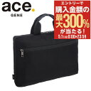 5/1 抽選で最大300%Pバック エースジーン ノートパソコンケース パソコンケース 13.3インチ PCケース 11172 ace.GENE 横型 保護ケー...