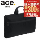5/1 抽選で最大300%Pバック エースジーン ノートパソコンケース パソコンケース 15.6インチ PCケース 11173 ace.GENE 横型 保護ケー...
