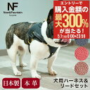 5/1 抽選で最大300%Pバック エヌアンドエフ ペット ハーネス&リードセット 小型犬 ハーネス ボディベルト リード おしゃれ レザー 本革 日本製 N&...