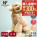 5/1 抽選で最大300%Pバック エヌアンドエフ ペット ハーネス&リードセット 小型犬 ハーネス ボディベルト リード おしゃれ レザー 本革 日本製 N&...