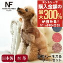 5/1 抽選で最大300%Pバック エヌアンドエフ ペット ハーネス&リードセット 小型犬 ハーネス ボディベルト リード おしゃれ レザー 本革 日本製 N&...