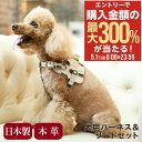 5/1 抽選で最大300%Pバック エヌアンドエフ ペット ハーネス&リードセット 小型犬 ハーネス ボディベルト リード おしゃれ レザー 本革 日本製 N&...