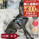 5/1 抽選で最大300%Pバック エヌアンドエフ ペット ハーネス&リードセット 小型犬 ハーネス ボディベルト リード おしゃれ レザー 本革 日本製 N&...