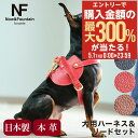 5/1 抽選で最大300%Pバック エヌアンドエフ ペット ハーネス&リードセット 小型犬 ハーネス ボディベルト リード おしゃれ レザー 本革 日本製 N&...