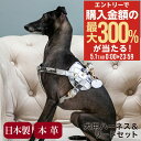 5/1 抽選で最大300%Pバック エヌアンドエフ ペット ハーネス&リードセット 小型犬 ハーネス ボディベルト リード おしゃれ レザー 本革 日本製 N&...