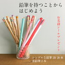 えんぴつ/鉛筆 福袋シンプルな鉛筆22本【2B】入学祝いにも!1000円ポッキリ