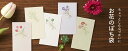 お花のぽち袋 3枚入 ノーハナ300P お花 ポチ袋 かわいい 心付け 花柄 ミモザ チューリップ クローバー ガーベラ スミレ 祝儀袋 ミニ袋 おしゃれ カワ...