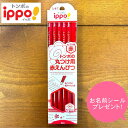 【お名前シールプレゼント】トンボ鉛筆 赤鉛筆 赤えんぴつ ippo! 丸つけ用 1ダース CV-KIV 4901991020977