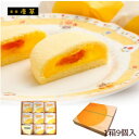 九州 長崎 土産 唐草 枇杷かすた物語 9個入 スポンジ ケーキ びわ 入り 3,980円以上 送料無料 枇杷 お土産 長崎名物 お取り寄せ お正月 新年 お年賀 ご当地スイーツ