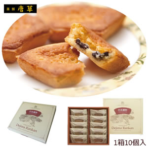 九州 長崎 土産 唐草 出島蘭館 10個入チーズ タルト ビター チョコ 入り 贈答 3,980円以上 送料無料 人気 お土産