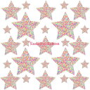 【即納】NEVA NUDE Sprankles Neon UV Starry Nights Sticker Top 【ペイスティ・ニップレス】【ニップレス・ペイスティ】【Neva Nude（ニップレス、ペイスティ）】【SPR-STR-TOP 】