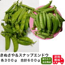 『きぬさや＆スナップエンドウ（各300g）』朝採りをその日のうちに★レターパックプラス［速達］で発送 ...