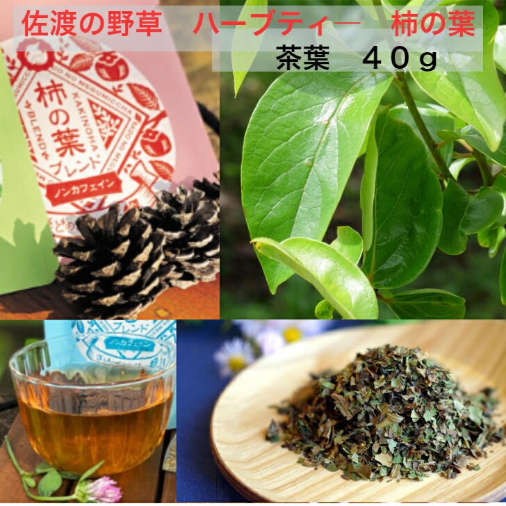 さどのめぐみっ茶 【柿の葉ブレンド】茶葉40gBrillian佐渡の野草を使ったハーブティ— お茶★送料無料(込)★野草茶 自然 ノンカフェイン ドリップバック 天然 無添加 無農薬 飲みやすい お湯出し 冷やしても美味