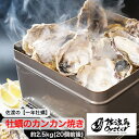 佐渡・加茂湖の一年牡蠣　生でお届け牡蠣のカンカン焼き　約2.5kg　送料無料(込)カキ かき 蒸し焼き 冬の味覚 春の味覚 新鮮 漁師料理 栄養満点 新鮮 殻付き牡蠣 お歳暮 ギフト 海鮮 新潟県 佐渡産