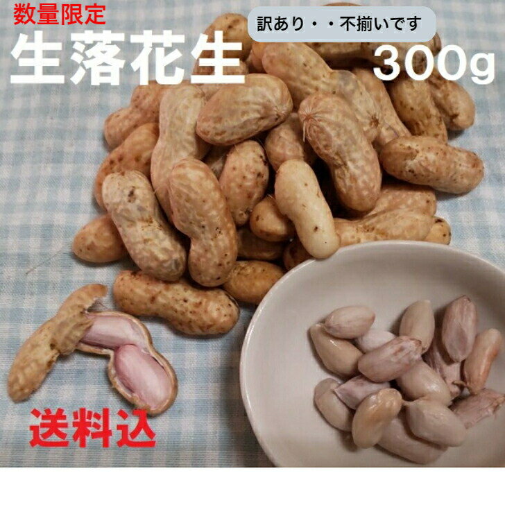 【送料無料】（送料込み）生落花生（ピーナッツ）自家製につき訳あり・・形・大きさ不揃い　300g★レタ ...