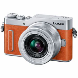 LUMIX(ルミックス) DC-GF10W