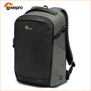 ץ (Lowepro) եåץ 400 AW III 졼LP37353-PWW