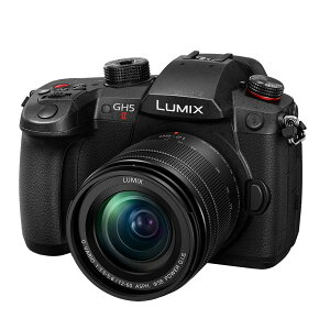 ѥʥ˥å(Panasonic) LUMIX(ߥå) ߥ顼쥹㥫 GH5II 12-60mmɸॺ󥺥åȡDC-GH5M2M