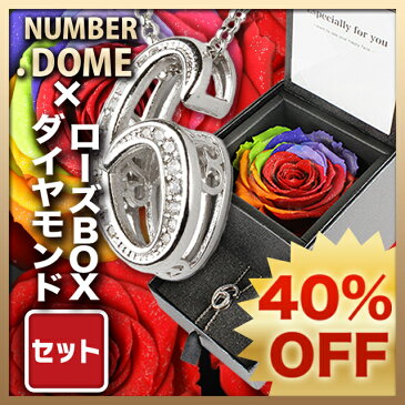 NUMBER.DOME meteor メテオラ ダイヤモンドローズ アモローサ ダイヤモンドパウダー インテリア雑貨 ブリザーブド バラ ローズ ナンバー ネックレス ブレスレット アンクレット ラッピング無料 ギフト BOX プレゼント 女性 男性 クリスマス 誕生日 プレゼント