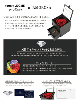 NUMBER.DOME meteor メテオラ ダイヤモンドローズ アモローサ ダイヤモンドパウダー インテリア雑貨 ブリザーブド バラ ローズ ナンバー ネックレス ブレスレット アンクレット ラッピング無料 ギフト BOX プレゼント 女性 男性 クリスマス 誕生日 プレゼント