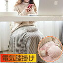 電気ブランケット 電気ひざ掛け 大判 電気毛布 電気ブランケット おしゃれ usb 屋外 室内ホットブランケット 電気膝掛け毛布 電気毛布 洗える 丸洗い 電気掛け布団 電気カーペット 暖房 あったか 電気ブランケット 着る毛布 防寒 防寒対策 節電 72cm×115cm