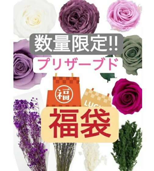 限定セット 福袋 2026 2025 ライラック カラープリザーブドフラワー ドライフラワー パープル のローズ..
