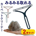ペット 抜け毛 カーペット クリーナー ペットブラシ 抜け毛ブラシ ペット 抜け毛 ブラシ 掃除 掃除機 コロコロ 猫 猫の毛 犬 犬の毛 猫ブラシ 毛玉取り 猫 犬 掃除 衣類 洋服ブラシ 除毛 服 猫の毛 犬の毛 カーペット キャットタワー 毛玉 絨毯 簡単 ペット用品 クリーナー
