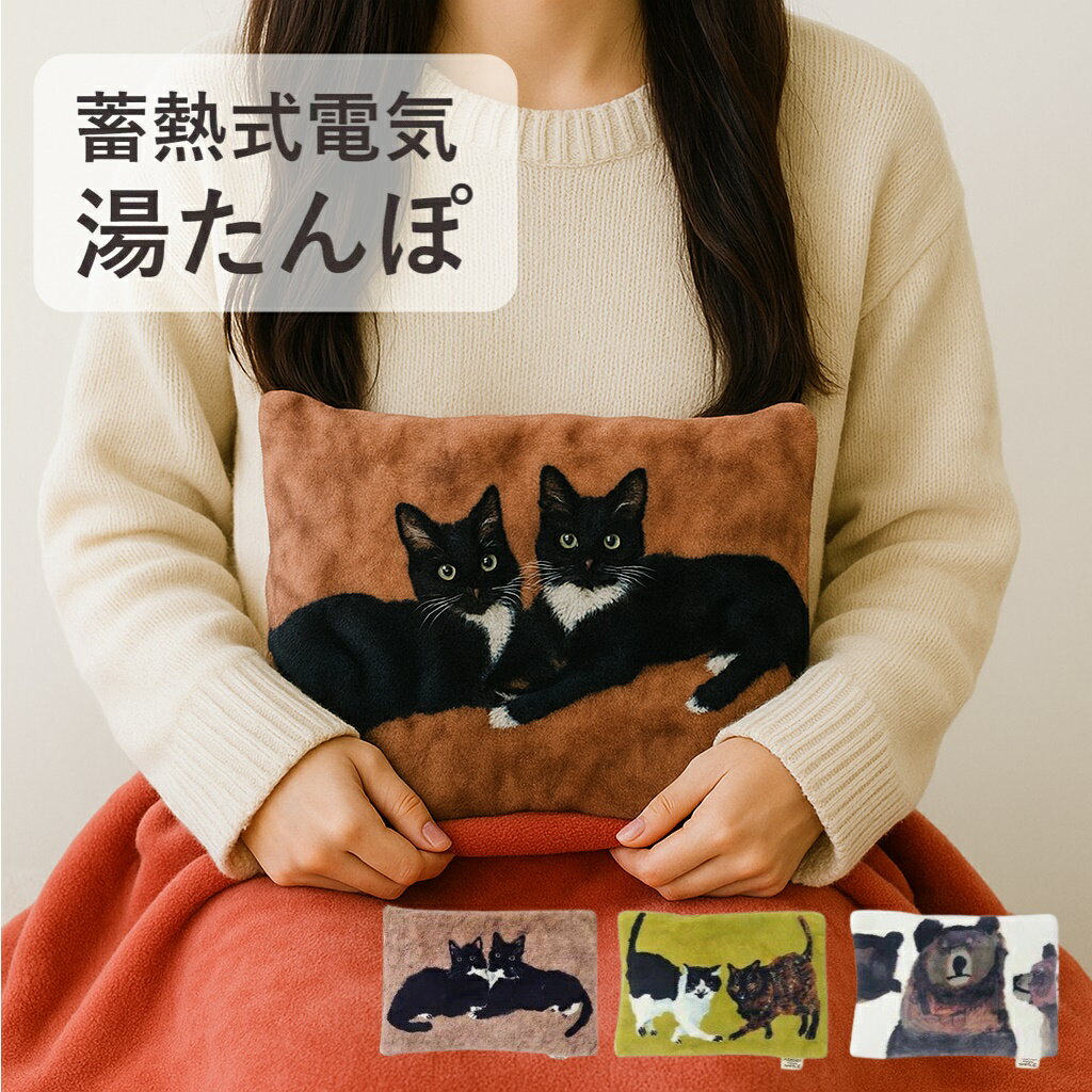 湯たんぽ 充電式 ゆたんぽ 蓄熱式 エコ 省エネ お湯交換不要 カイロ お湯不要 電気湯たんぽ 電熱 電気..