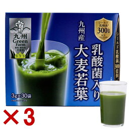 3個セット 乳酸菌 青汁 酵素 3g×30袋入 シールド乳酸菌300億個配合 ダイエット 健康 漢方 青汁 サプリ 酵素ジュース 粉末 九州産 ケール 大麦若葉 野菜 ジュース 食物繊維 野菜不足 飲みやすい 粉末タイプ 九州産大麦若葉 個包装 ビタミン カルシウム マグネシウム 日本製