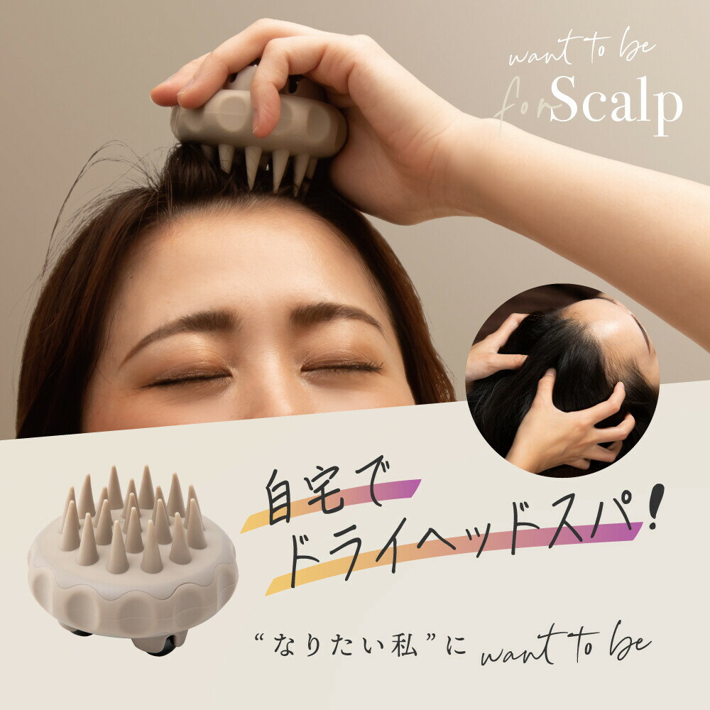 ������ץ֥饷 �إåɥ��� �ե��������� �ܥǥ����� ��եȥ��å� �ޥ��ͥåȥܡ��� Ƭ��֥饷 Ƭ�饱�� Ƭ���ե� Ƭ�� �� Ƭ�� �ǥ���� ���� ������ץ��� �ˤ���� ȱ�ϥ� �� ��� �� Ƭ�� Ƭ���ե�