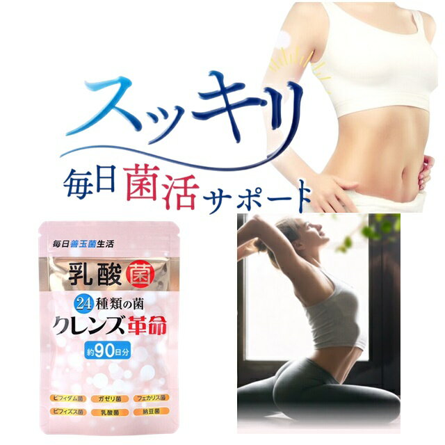 3ヶ月分 5兆個の善玉菌 乳酸菌 ビフィズス菌 ダイエット サプリ 納豆菌 クレンズ　乳酸菌サプリ 腸活 便秘 ビフィズス菌 乳酸菌 善玉菌 悪玉菌 体内フローラ 菌活 腸活 サプリ ダイエット 健康 サプリメント