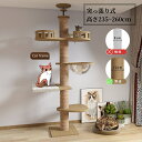 キャットタワー 突っ張り 高さ235cm~260cm 木製 キャットツリー 木登りタワー 多層無垢材 太い支柱 直径12cm 猫タワー 人気 大型猫用 多頭飼い...