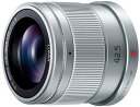 【中古】パナソニック(Panasonic) 単焦点 中望遠レンズ マイクロフォーサーズ用 ルミックス G 42.5mm/ F1.7 ASPH. / POWER O.I.S. シルバー H-HS043-S