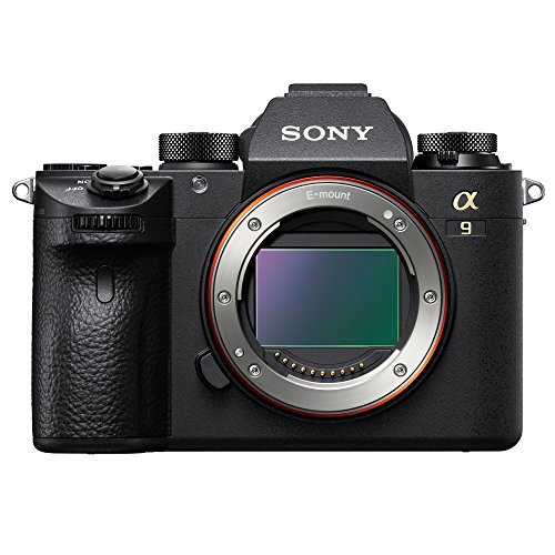 【中古】SONY(ソニー) フルサイズミ