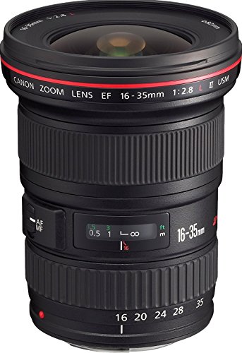【中古】Canon 広角ズームレンズ EF16-