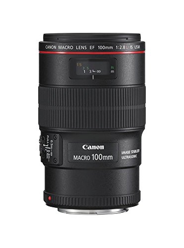 【中古】キヤノン Canon 単焦点マク