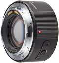 【中古】パナソニック(Panasonic) DMW-STC20 LUMIX 2.0× テレコンバーター