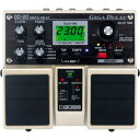 【中古】Roland Digital Delay "GIGA DELAY" DD-20