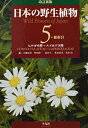 【中古】改訂新版 日本の野生植物 5:ヒルガオ科~スイカズラ科(+総索引)