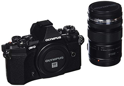 【中古】OLYMPUS ミラーレス一眼 OM-D E