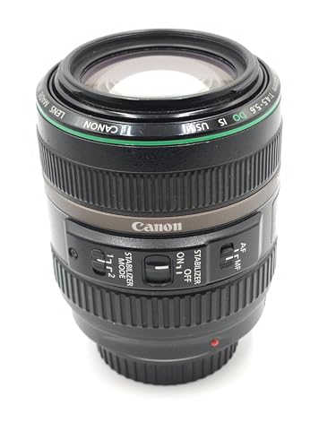 【中古】Canon 望遠ズームレンズ EF70-300mm F4.5-5.6 DO IS USM フルサイズ対応