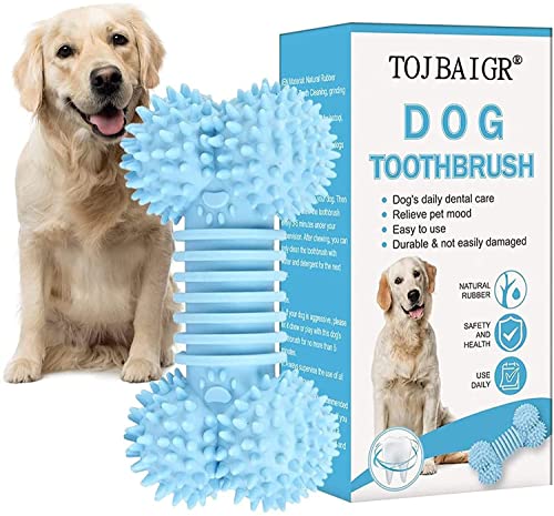 【中古】ザ・カレッジ・ドロップアウト~スペシャル・エディション (DVD付)