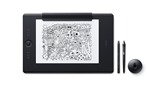 ワコム Wacom Intuos Pro Paper Edition Lサイズ A4対応 ペンタブレット ペーパーエディション ペン入力 Wacom Pro Pen 2 付属 PTH-860/K1